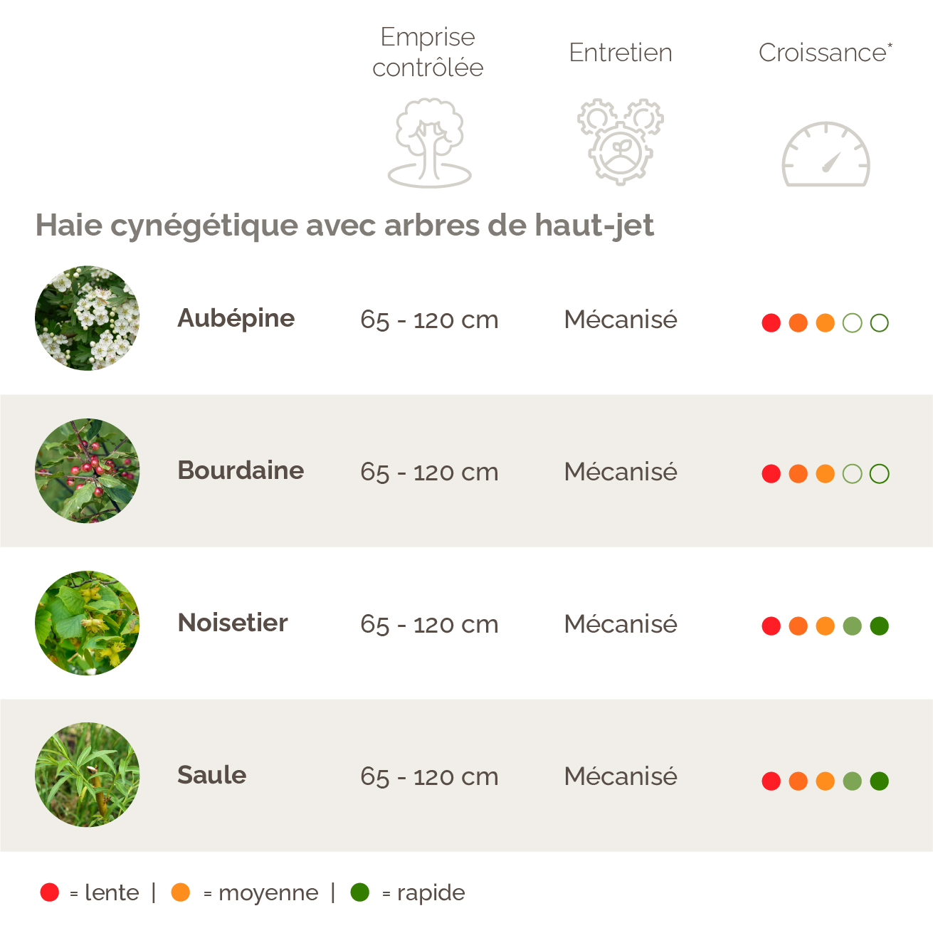 Haie cynégétique avec arbres de haut-jet