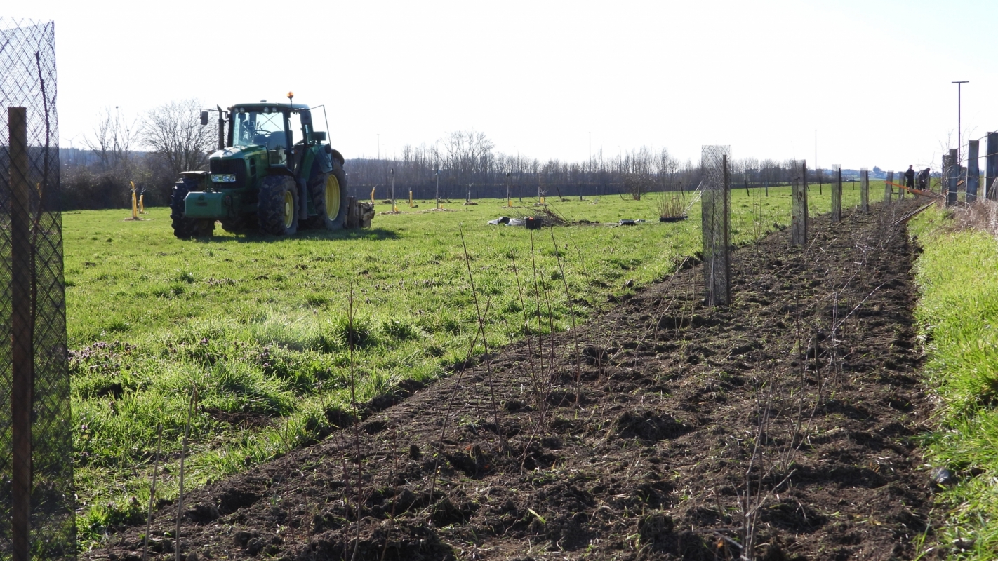 Plantation de haies avec du matériel agricole