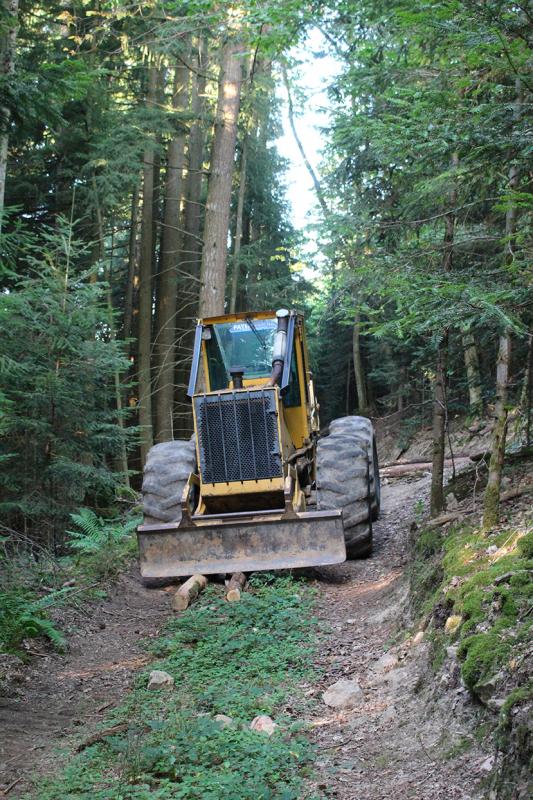 Gestion Forestière - Préparation du terrain