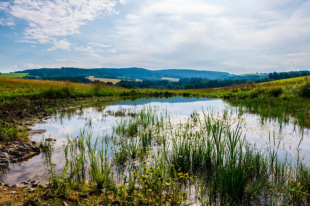 Milieu Naturel - Lutte contre les espèces invasives